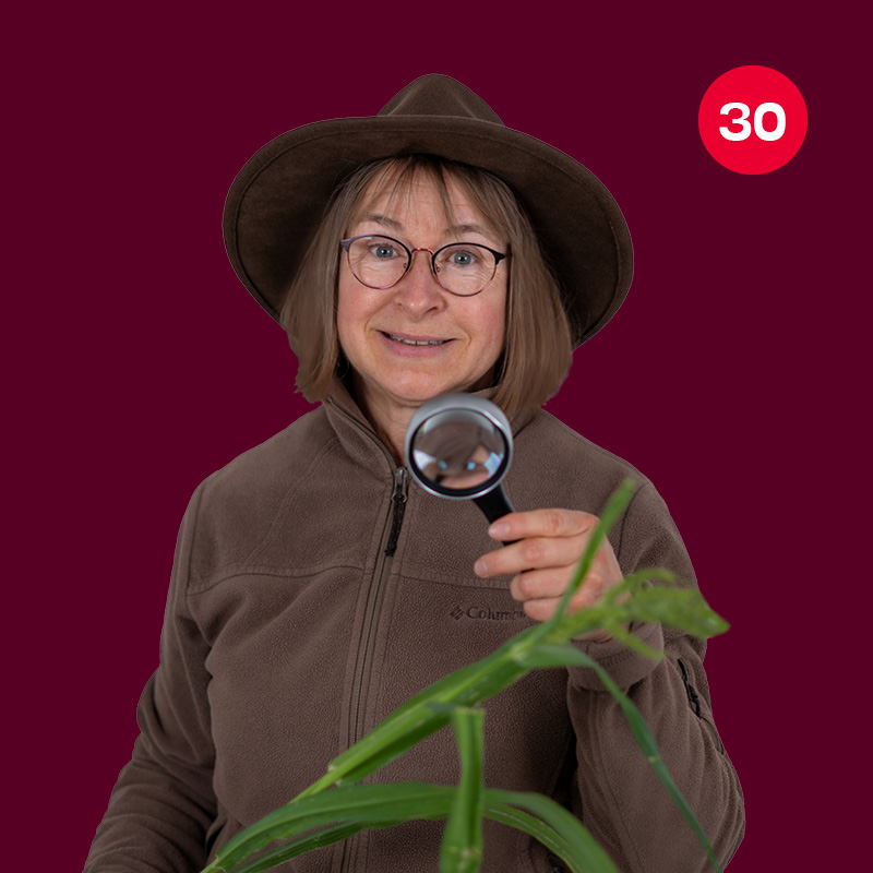 spd-bayreuth-kandidierende-2026-stadtrat-30-kerstin-loeblich-ille-2